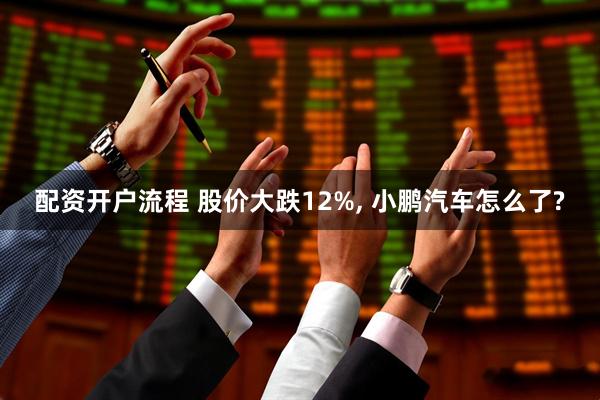 配资开户流程 股价大跌12%, 小鹏汽车怎么了?